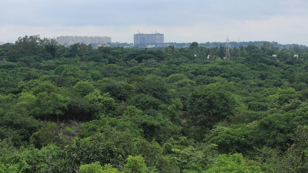 कांचा गच्चीबौली  मुद्दे पर सरकार के आचरण नाराज