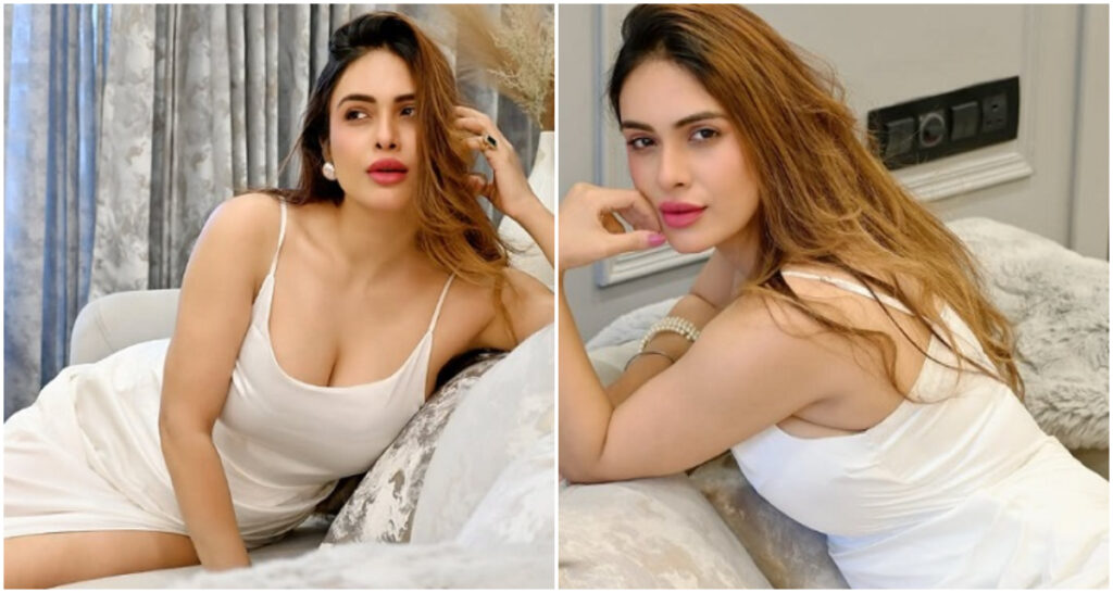 Neha Malik :के घर चोरी, नौकरानी ले गई 34 लाख के गहने।