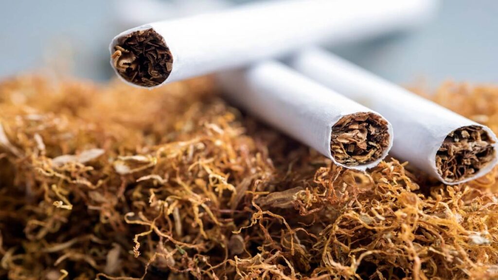 मालदीव सिगरेट बैन 2025