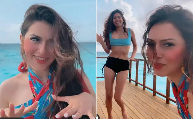 Hansika मोटवानी पहुंचीं हाईकोर्ट, झूठे बताए आरोप।