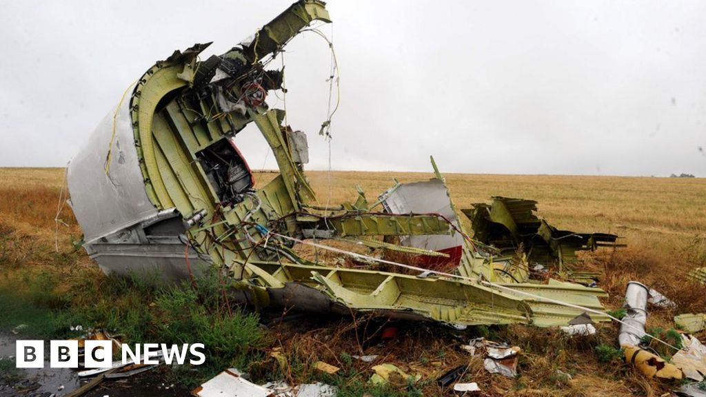 MH17 विमान दुर्घटना