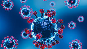 सिंगापुर कोरोना अपडेट