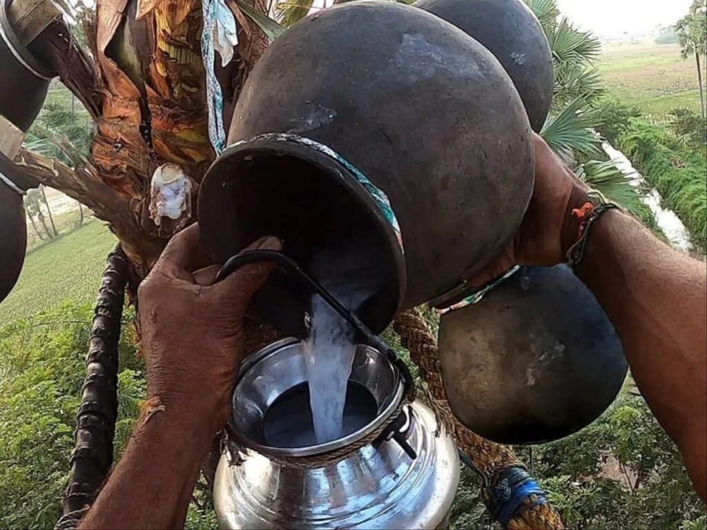 मिस वर्ल्ड 2025