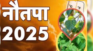 नौतपा में लगाइए ये पौधे, जीवन में नहीं होगी धन-धान्य की कमी