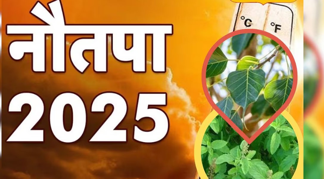 नौतपा में लगाइए ये पौधे, जीवन में नहीं होगी धन-धान्य की कमी