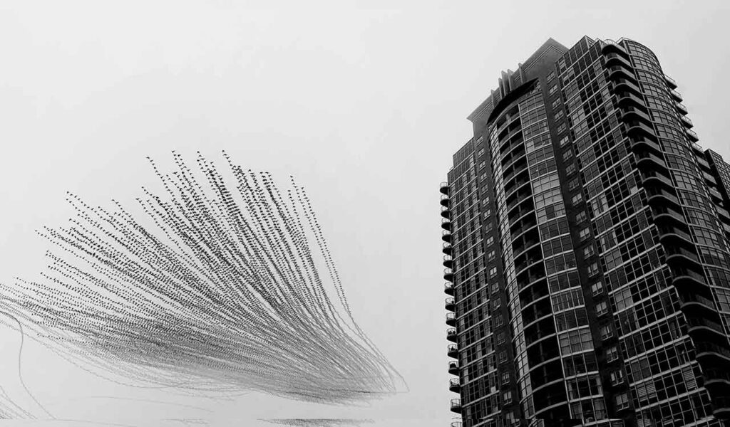 फोटोग्राफर