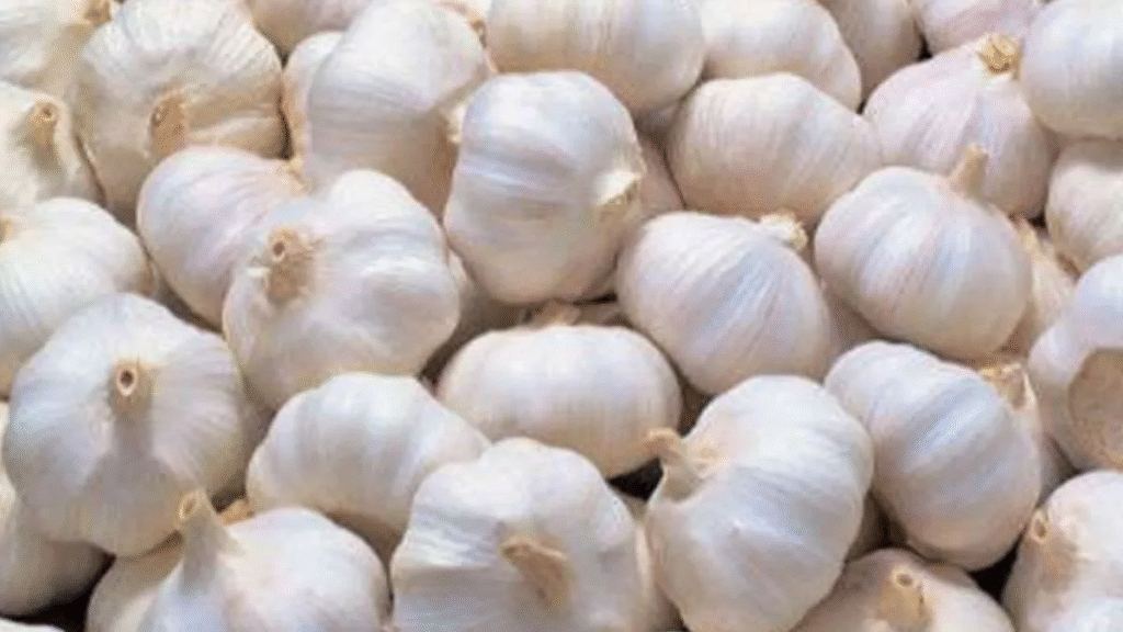 Kitchen Tips : जानिए कैसे सुरक्षित रखें लहसुन को?