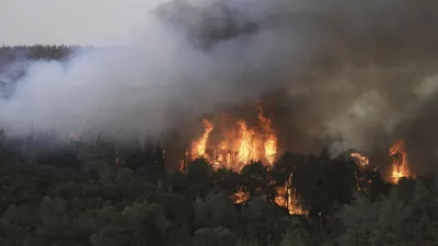 Fire : इजरायल में लगी भीषण आग, नेतन्याहू ने मांगी मदद