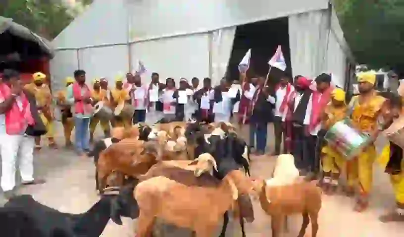 भेड़ों के साथ गांधी भवन पर प्रदर्शन