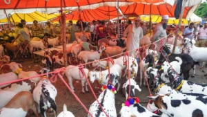गुजरात सरकार ने जारी की गाइडलाइंस