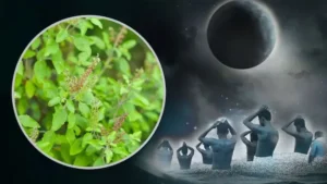 Ashadha Amavasya: तुलसी पूजा से मिलेगा विशेष पुण्य
