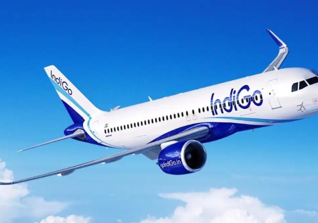 IndiGo Flight रनवे से लौटी वापस, यात्रियों में मचा हड़कंप