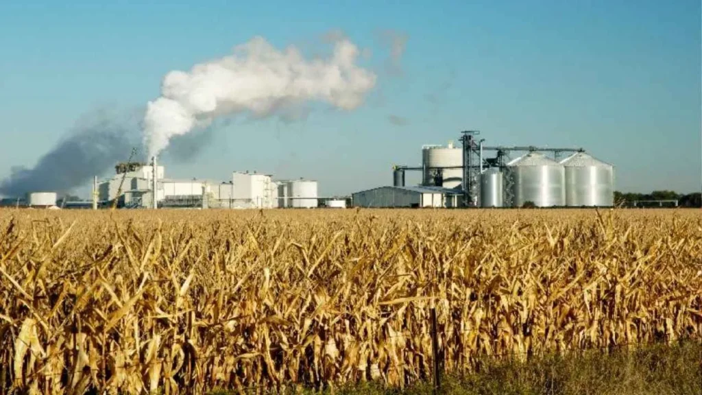 Ethanol Production में ग्रेनस्पैन का बड़ा निवेश, गुजरात में दो नए प्लांट