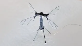 Mosquito Drone: चीन ने बनाया मच्छर जितना खतरनाक हथियार