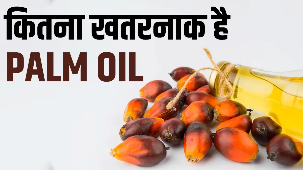 कितना खतरनाक है पाम ऑयल