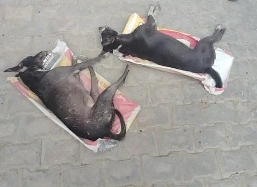 लखनऊ