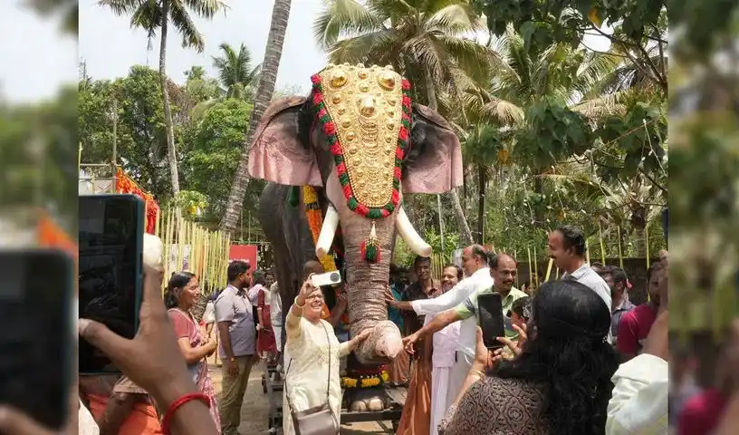 Utsav : बोनालु उत्सव के लिए तुमकुर से श्री करिबासवा स्वामी मठ का हाथी