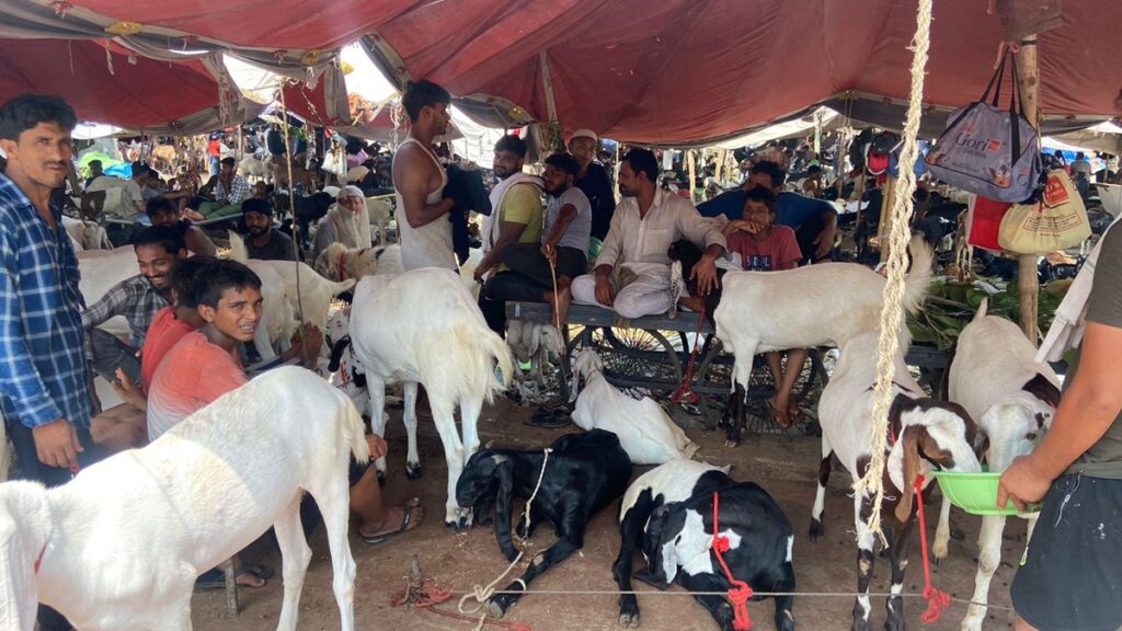 Bakrid Notification: गुजरात सरकार ने जारी की गाइडलाइंस