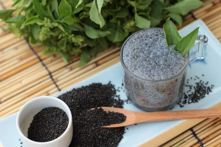 Tulsi Seeds: सेहत के लिए फायदेमंद, डॉक्टर भी खाने की देते हैं सलाह