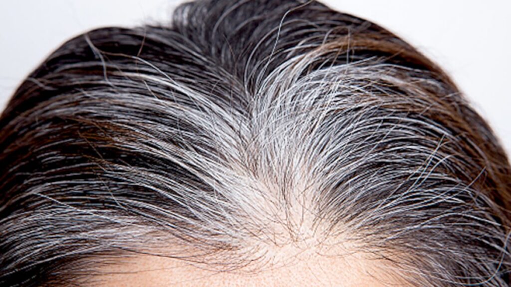 Grey Hair Solution: मिनटों में छिपाएं सफेद बाल, अपनाएं ये इमरजेंसी तरीका