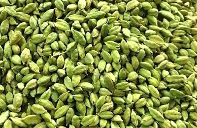Health news : वात, पित्त और कफ को संतुलित करती है इलायची