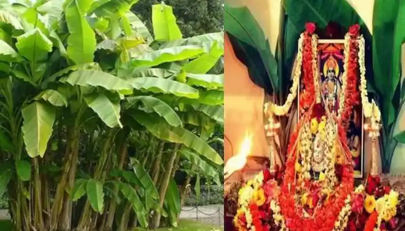 गुरु 