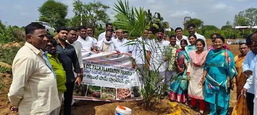 पांच हजार एकड़ में ऑयल पाम वृक्षारोपण किया जाए – मंत्री तुम्मला