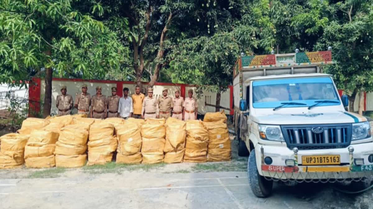 अंतरराष्ट्रीय सीमा के जरिए सेक्स टॉय की तस्करी का खुलासा