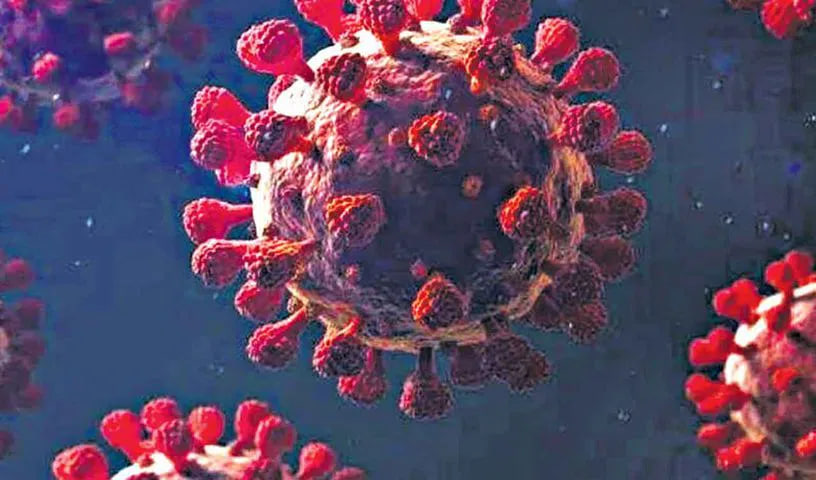 प्रतिरोधक