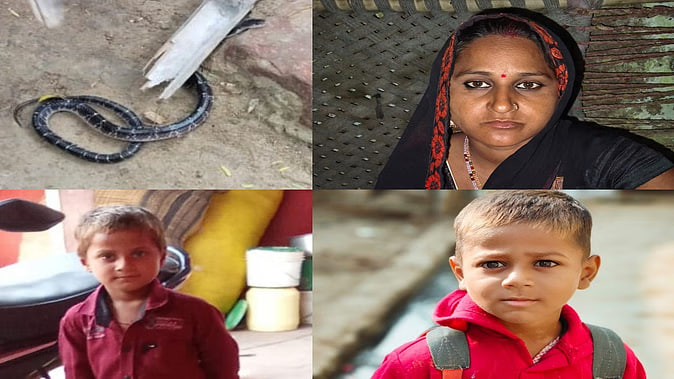 Agra : दो बच्चों संग छत पर सो रही थी महिला, बच्चों को सांप ने डंसा, मौत