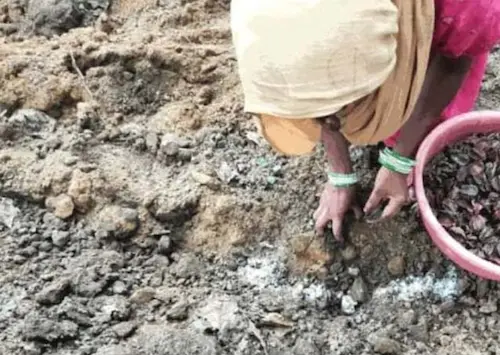 Chhatisgarh : ड्रोन से की गयी सीड बॉल की बौछार