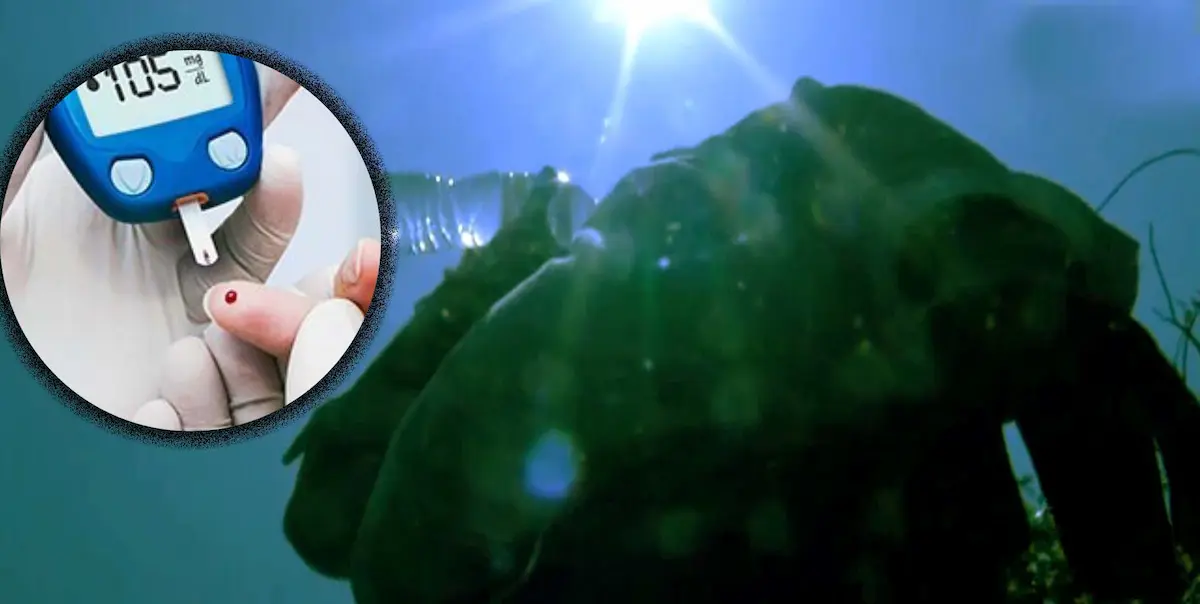 डायबिटीज