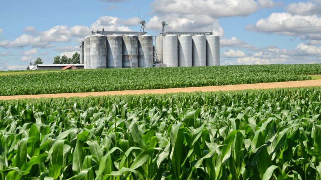 Ethanol Production में ग्रेनस्पैन का बड़ा निवेश, गुजरात में दो नए प्लांट