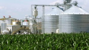 Ethanol Tax Hike से पंजाब-हरियाणा में मचा हड़कंप, मैन्युफैक्चरर्स नाराज़