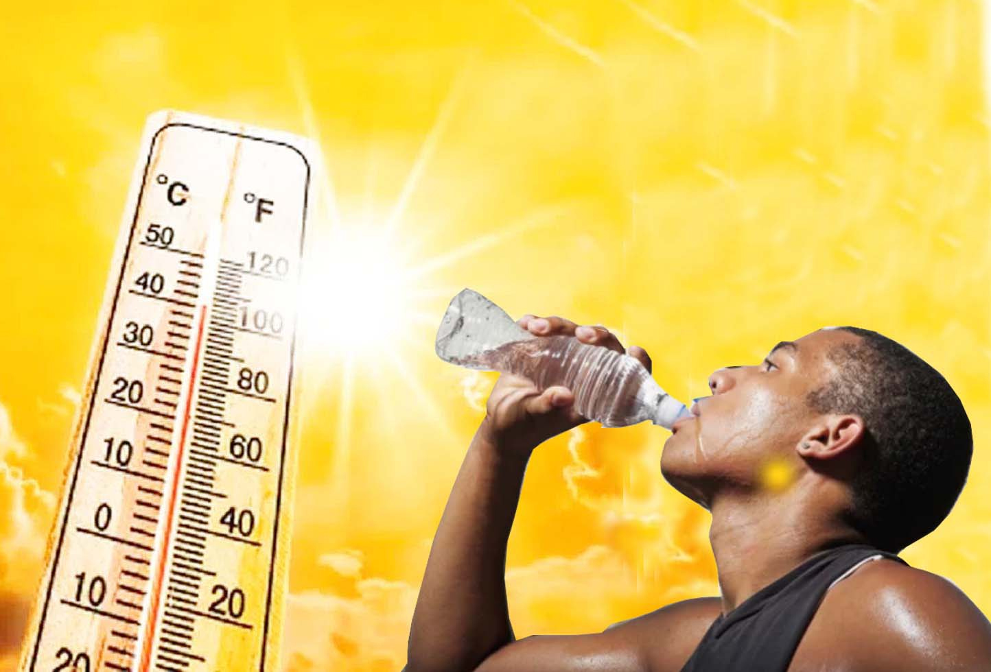 गर्म साल