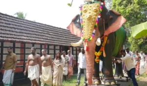 बोनालु और मुहर्रम के लिए यांत्रिक हाथियों के उपयोग का आग्रह, पेटा की अपील