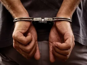 Adilabad : पुलिस, वन अधिकारियों पर हमला करने के आरोप में 29 गिरफ्तार