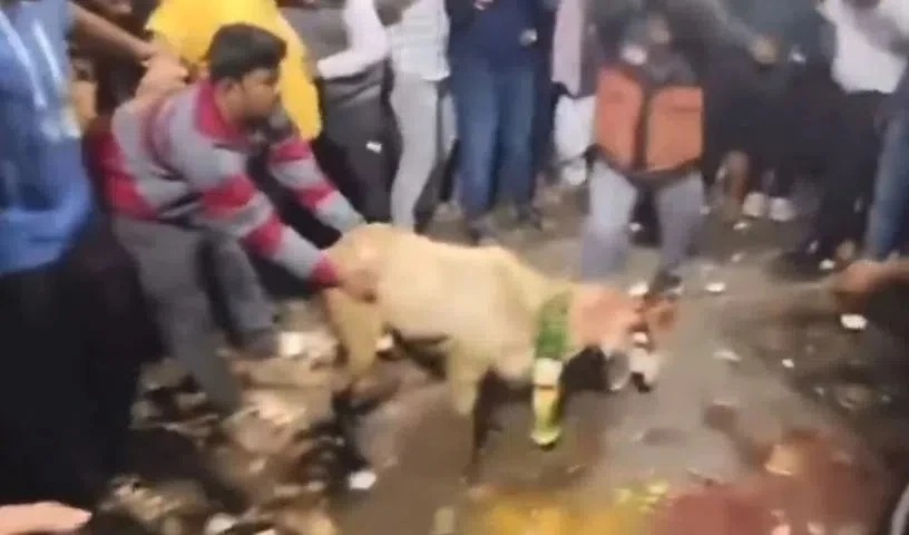 Hyderabad: पशु बलि के चौंकाने वाले वीडियो पर एफआईआर