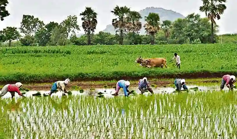 Hyderabad : यूरिया संकट पर राज्य-केंद्र के आरोप-प्रत्यारोप का तेलंगाना में खरीफ की गति पर असर