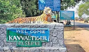 Amrabad : पर्यटकों के लिए अस्थायी रूप से बंद अमराबाद टाइगर रिजर्व