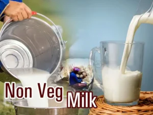 Non-Veg Milk: भारत-अमेरिका ट्रेड डील में रुकावट और इसका समाधान