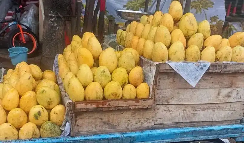 Problem : आम किसानों को करना पड़ रहा संकट का सामना