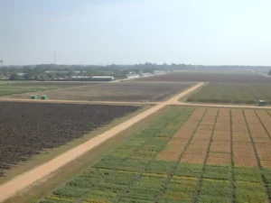 Siddipet : अनुसंधान सहयोग को बढ़ावा देने के लिए हुआ एमओयू