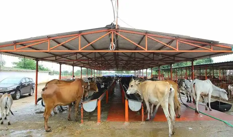 Vemulawada में 40 एकड़ की नई गौशाला की योजना
