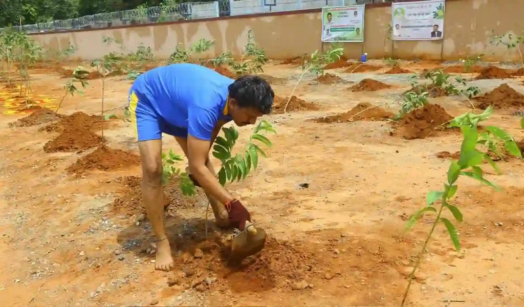 Peddapalli : सीएमडी एन बलराम ने SCCL में 20,000 पौधे लगाकर बनाया रिकॉर्ड