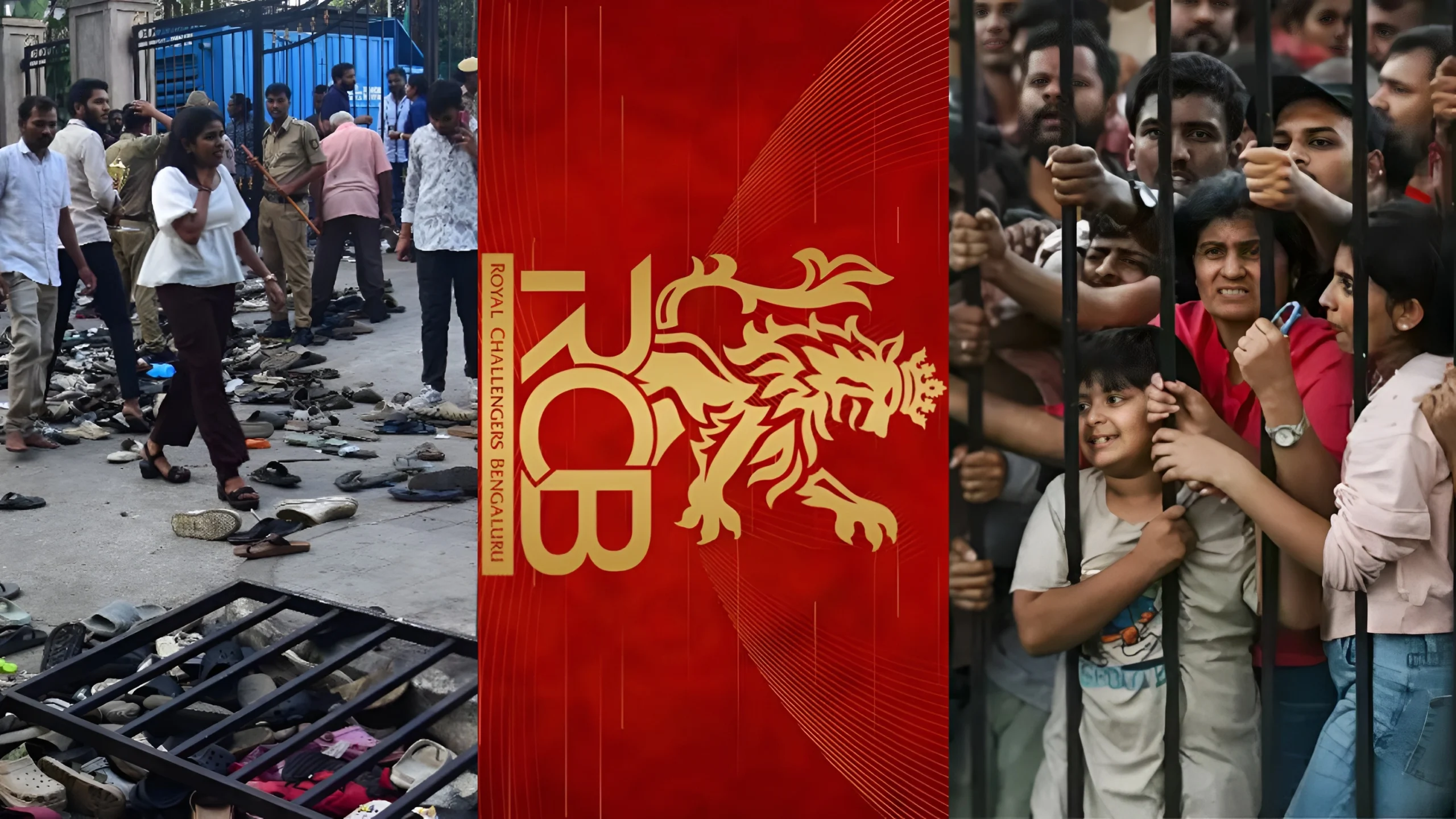 आरसीबी और विराट कोहली को ठहराया जिम्मेदार