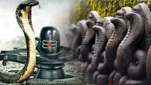 Nag Panchami : पंचमी पर क्यों नहीं करते हैं लोहे की चीजों का इस्तेमाल?