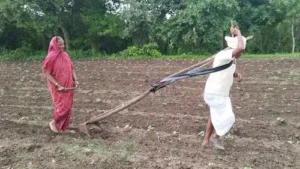 90 साल की उम्र में भी खेतों में जुटे किसान