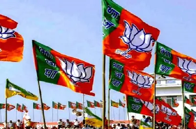 National : कौन होगा बीजेपी का नया अध्यक्ष, इन चार राज्यों में बॉस की नियुक्ति के बाद होगा तय