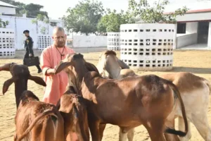 गोशालाओं में गोपाल वन स्थापित करेगी योगी सरकार